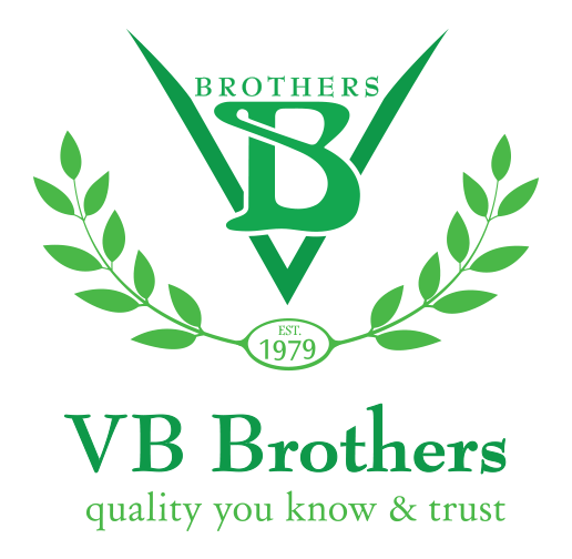 VB Brothers